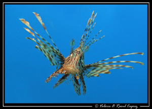 Sometimes you must stand in a strange position to be able... by Raoul Caprez 